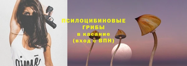 дурь Нефтегорск